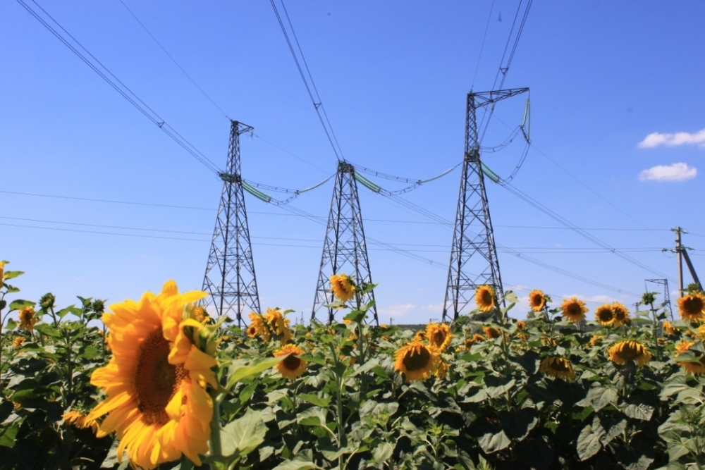Девять сельскохозяйственных предприятий присоединено к электросетям  в юго-западном энергорайоне