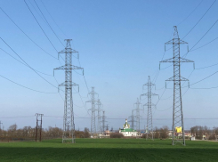 Энергетики подключили к электросетям 170 объектов АПК на юго-западе края