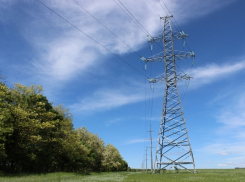 37 километров ЛЭП отремонтировали энергетики в Геленджике и окрестных городах