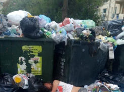 «Тут бомж заснул, а на него внимания не обращают»: геленджичане в шоке от количества мусора в городе