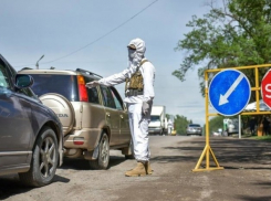 На границу Кубани и Ставрополья возвращаются карантинные посты 