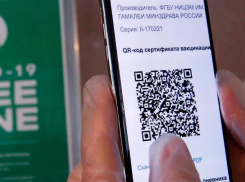 Как покупка поддельных QR-кодов может обернуться для геленджичан штрафами и даже тюрьмой