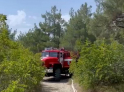 56 соток леса сгорело сегодня днем в Геленджике по вине человека