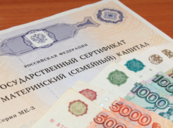 923,4 млн рублей выделили многодетным семьям Кубани 