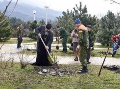 «Сад памяти» открыли в Геленджике