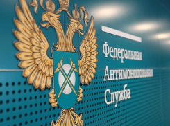 Две российские компании просят ФАС проверить администрацию Геленджика из-за нарушений в госзакупках