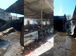 Сгоревшие дотла павильоны жители Геленджика восстанавливают сами