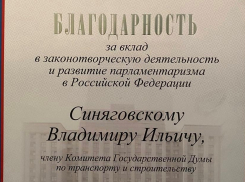 Владимира Синяговского наградили «за вклад в законотворческую деятельность и развитие парламентаризма».