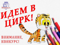 Нарисуй цирк и получи фотосессию мечты с тигром! 