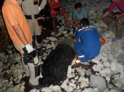 51-летняя туристка посреди ночи сорвалась со скалы в Геленджике