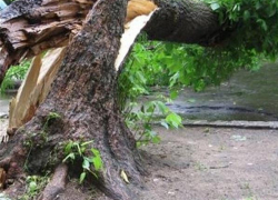 Турист получил серьезную травму во время прогулки на водопадах в Геленджике