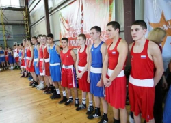 В Геленджике проходит первенство Краснодарского края по боксу