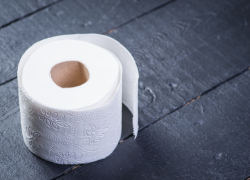 Администрация Геленджика ищет поставщика крупной партии туалетной бумаги