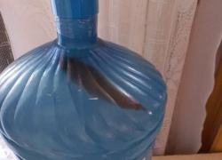 Антиреклама или реальная проблема?: геленджичанину доставили воду с морковкой внутри