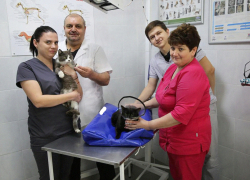 День ветеринара: о ветлечебнице в Геленджике