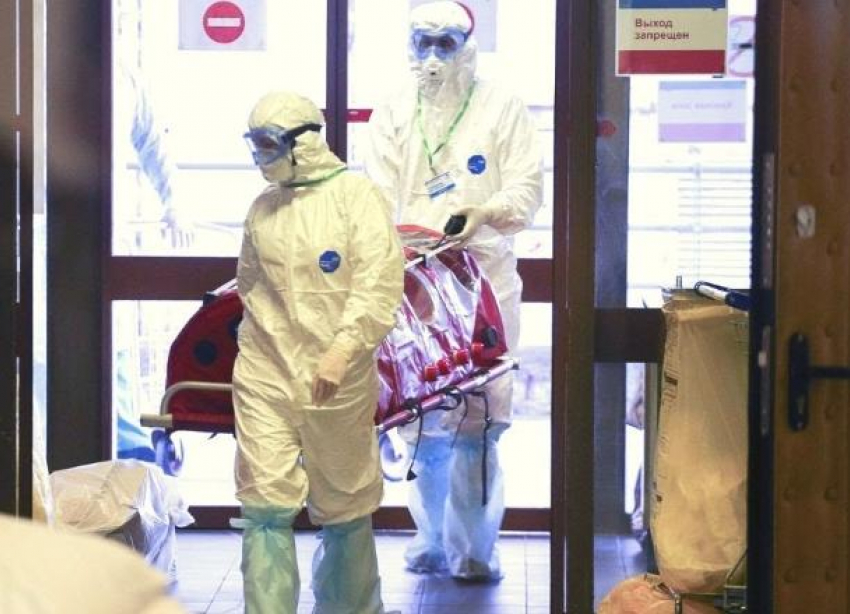 Полсотни человек за сутки заразились коронавирусом на Кубани