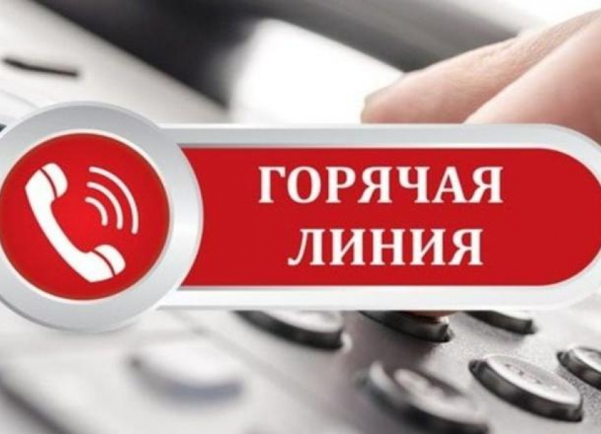 Предприниматели из Геленджика могут получить поддержку, позвонив на горячую линию