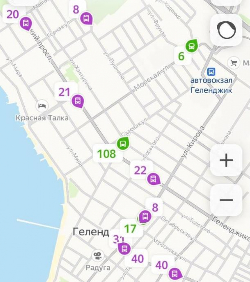 В Геленджике теперь можно отслеживать общественный транспорт онлайн