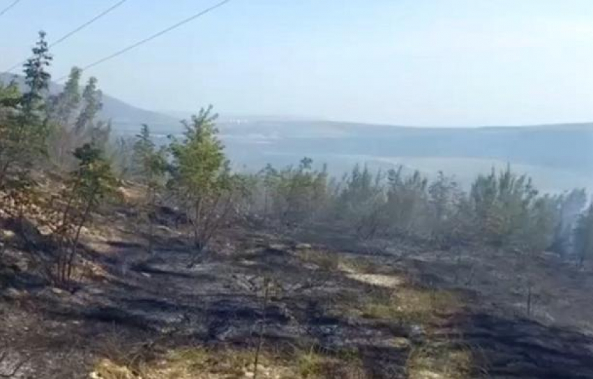 Второй пожар за неделю: в Кабардинке сгорело не менее гектара леса
