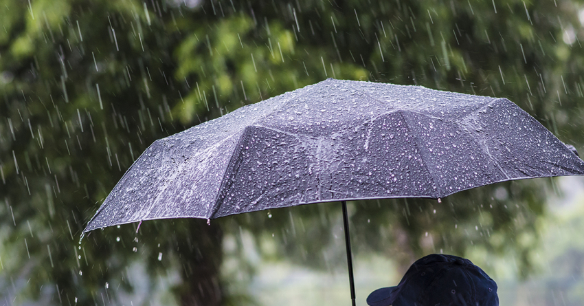 О пятничной погоде в Геленджике: не поленитесь взять зонтик