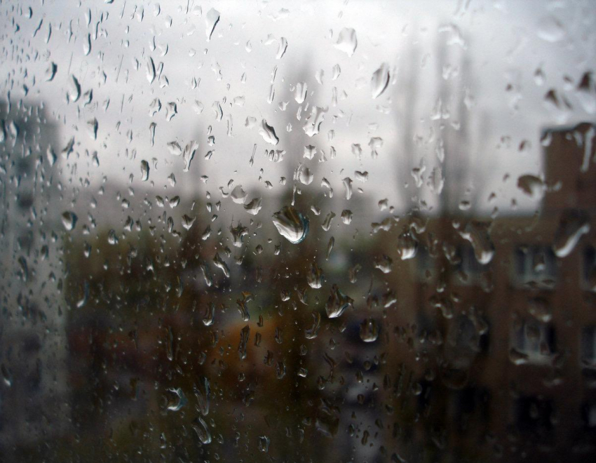 Лучшее время для просмотра фильмов: весь день в Геленджике будет лить дождь