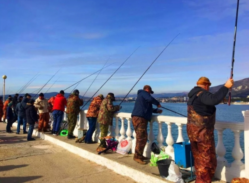 Что ждет геленджикских рыбаков в 2020 году