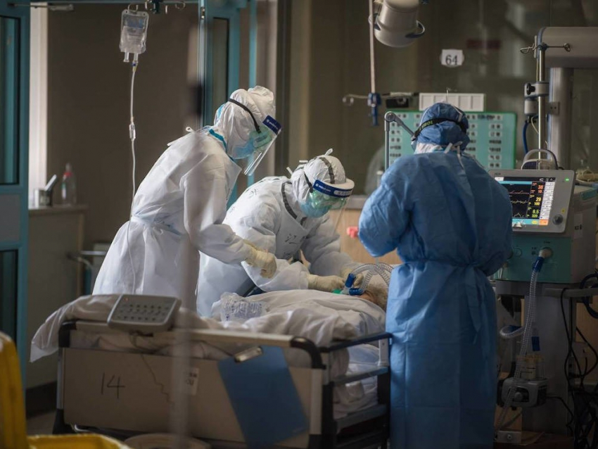 В Геленджике зафиксированы новые случаи заражения коронавирусом 