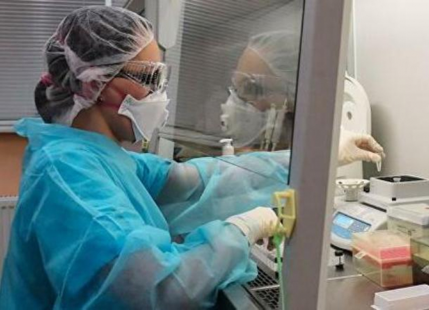 На Кубани за последние сутки выявлено 17 случаев заражения коронавирусом 