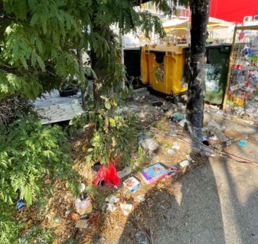 «Мусор, мусор всюду»: почему администрация не решает вопрос со свалками в городе